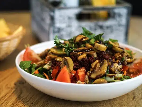 Bio Bistro Elan Fintessstudios - Salat des Monats