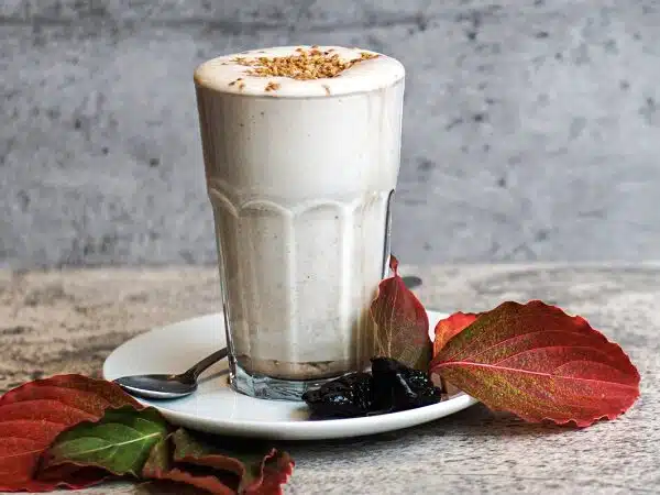 Bio Bistro Elan Fintessstudios - Shake Pflaume