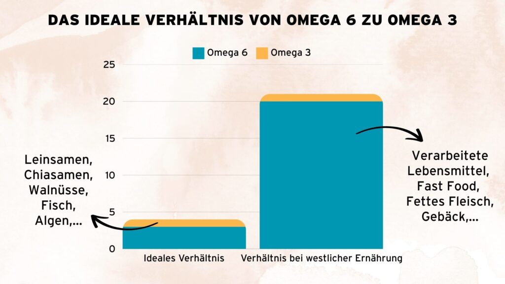 Stille Entzündungen: Das ideale Verhältnis von Omega-6 zu Omega-3