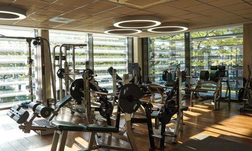 Elan Fitnessstudio Hannover Powerraum