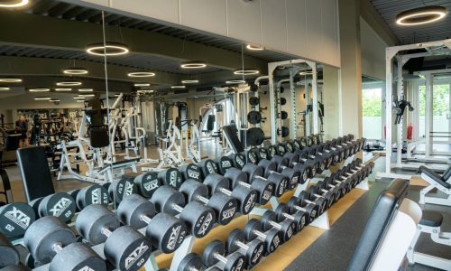 Freihantel Training in Wunstorf - Elan Fitnessstudio Barsinghausen